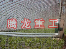 大棚花卉供暖設備、大棚卉采暖設備、大棚花卉取暖設備