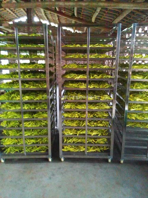 黃花菜烘干機(jī)、黃花菜烘干設(shè)備、黃花菜干燥機(jī)、黃花菜干燥設(shè)備、